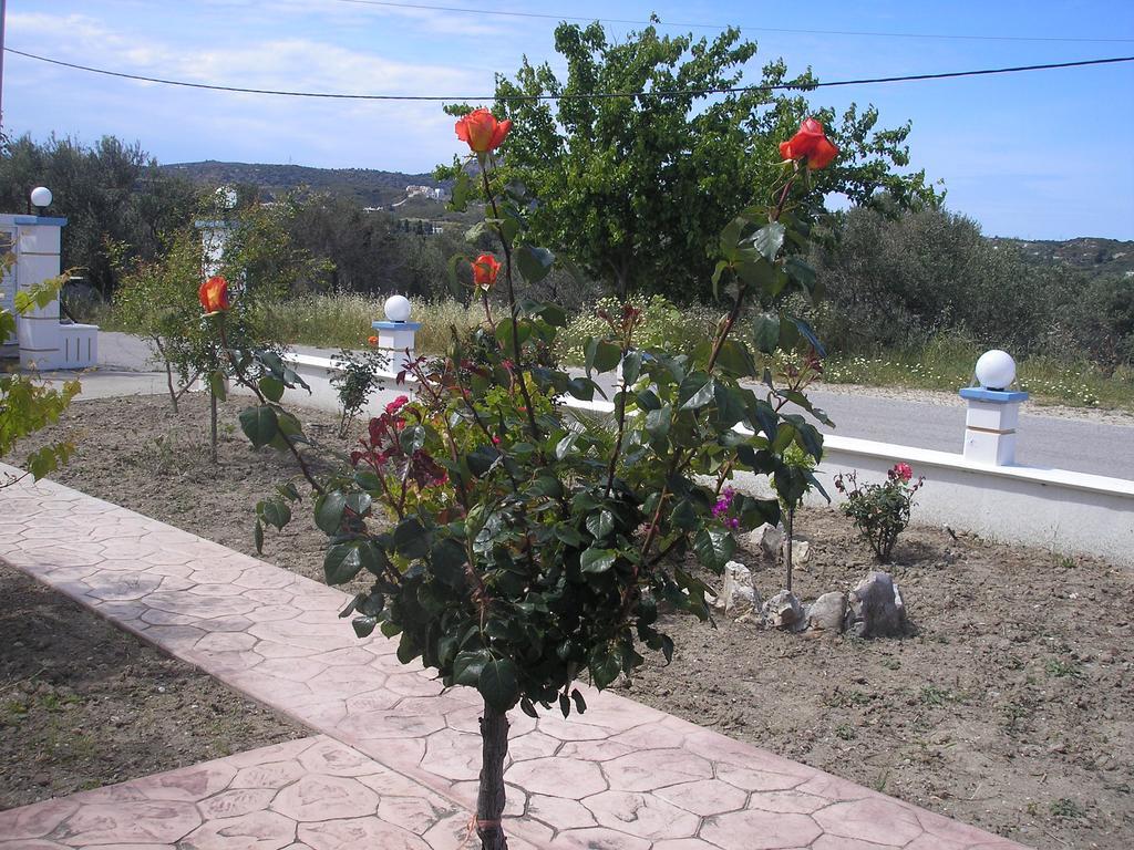 Nephele Apartments Faliraki Exterior photo